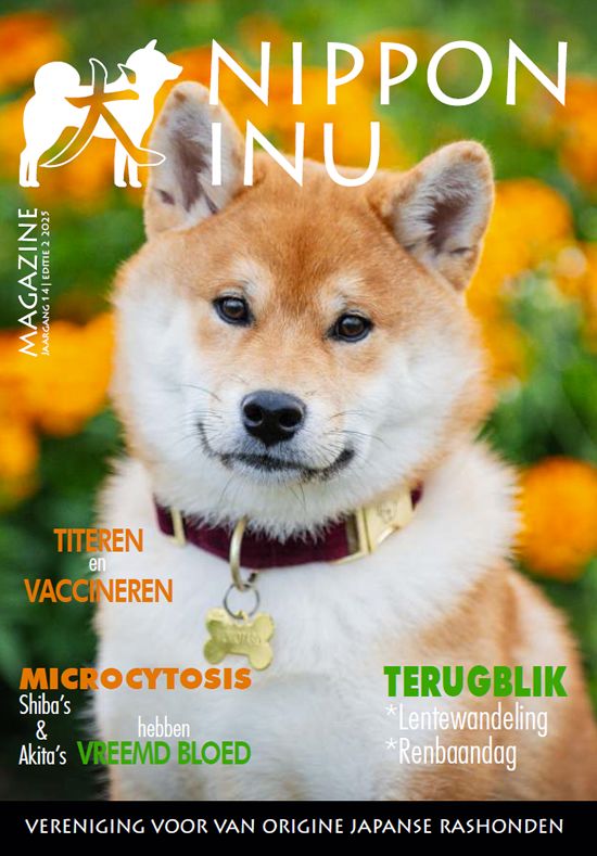 Clubmagazine 2-2025