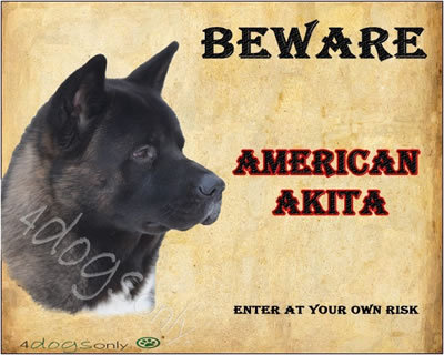 Waakbord American Akita 2