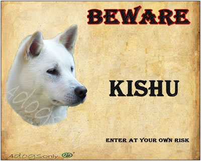 Waakbord Kishu