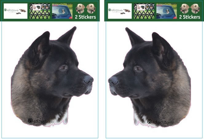 Stickers American Akita 2