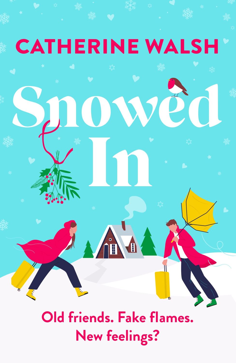 SNOWED IN