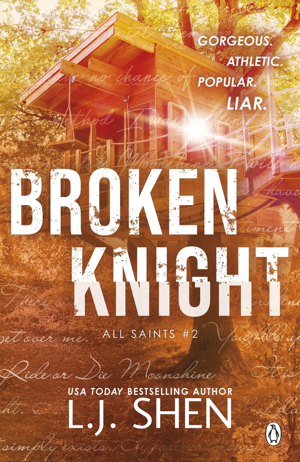 BROKEN KNIGHT