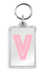 Logo Key ring