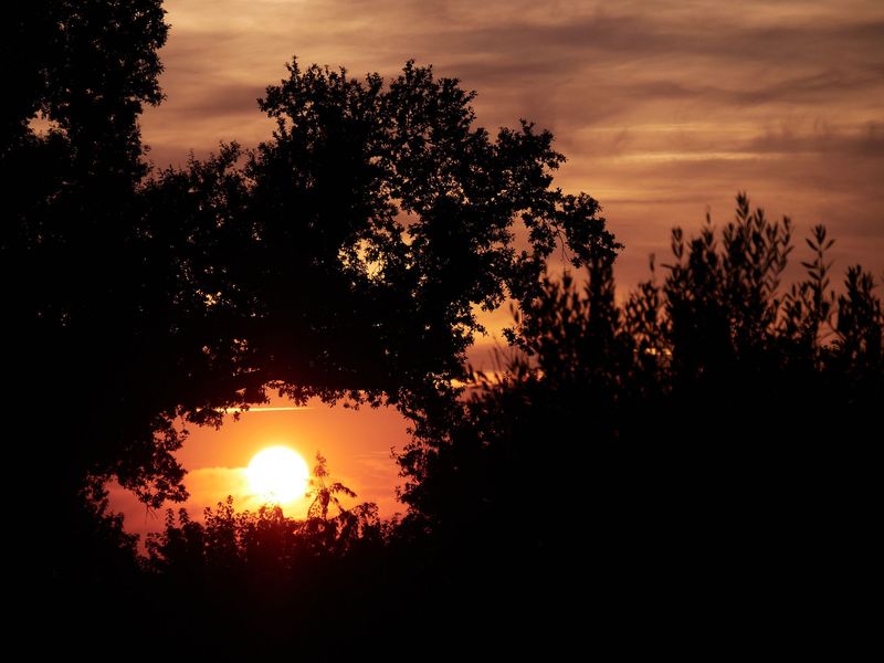 Fenêtre sur le Soleil