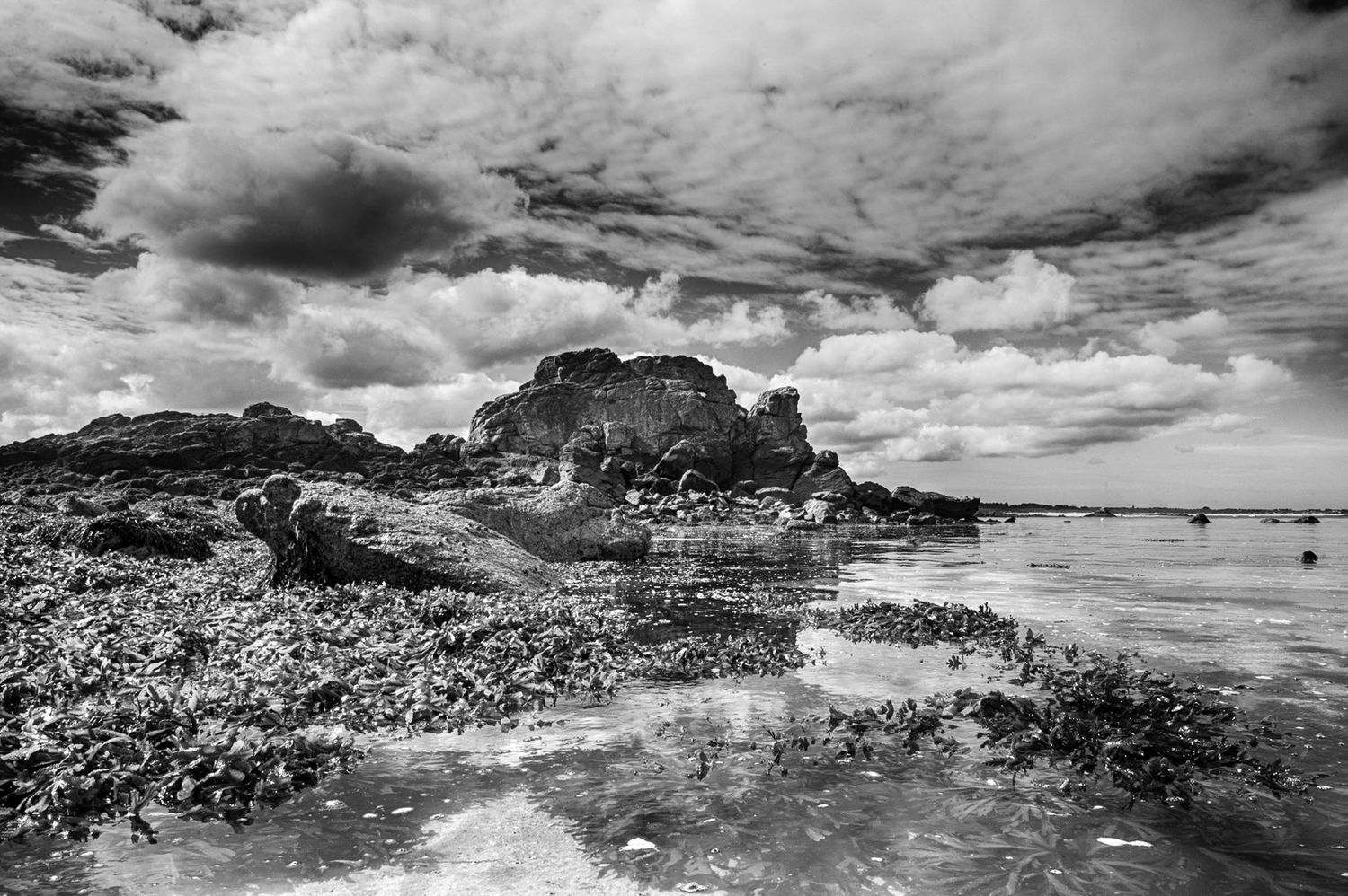 Silence à Marée Basse