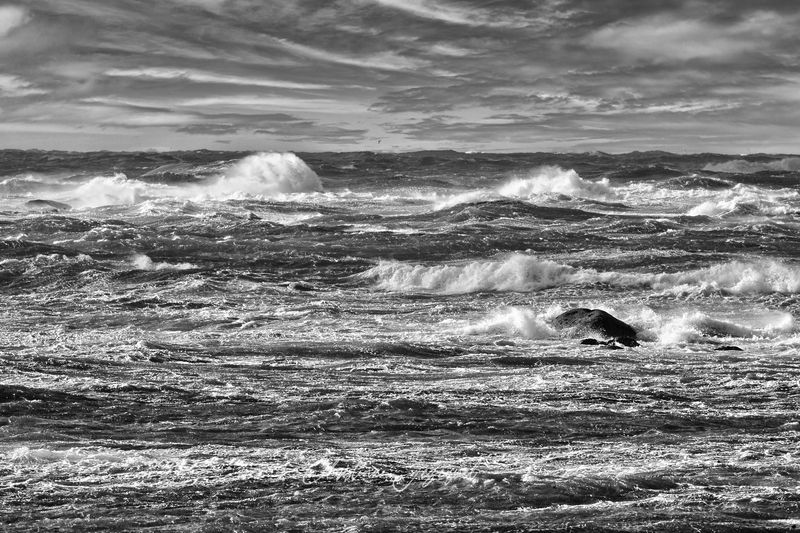 De l'Eau, des Vagues, du Soleil
