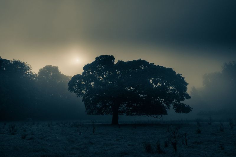 Brume sur Ploudaniel
