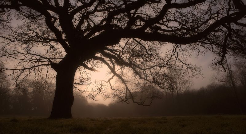 Les Veines de la Terre
