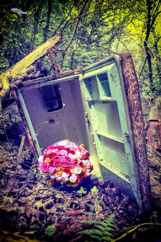 Les Roses et Le Frigo