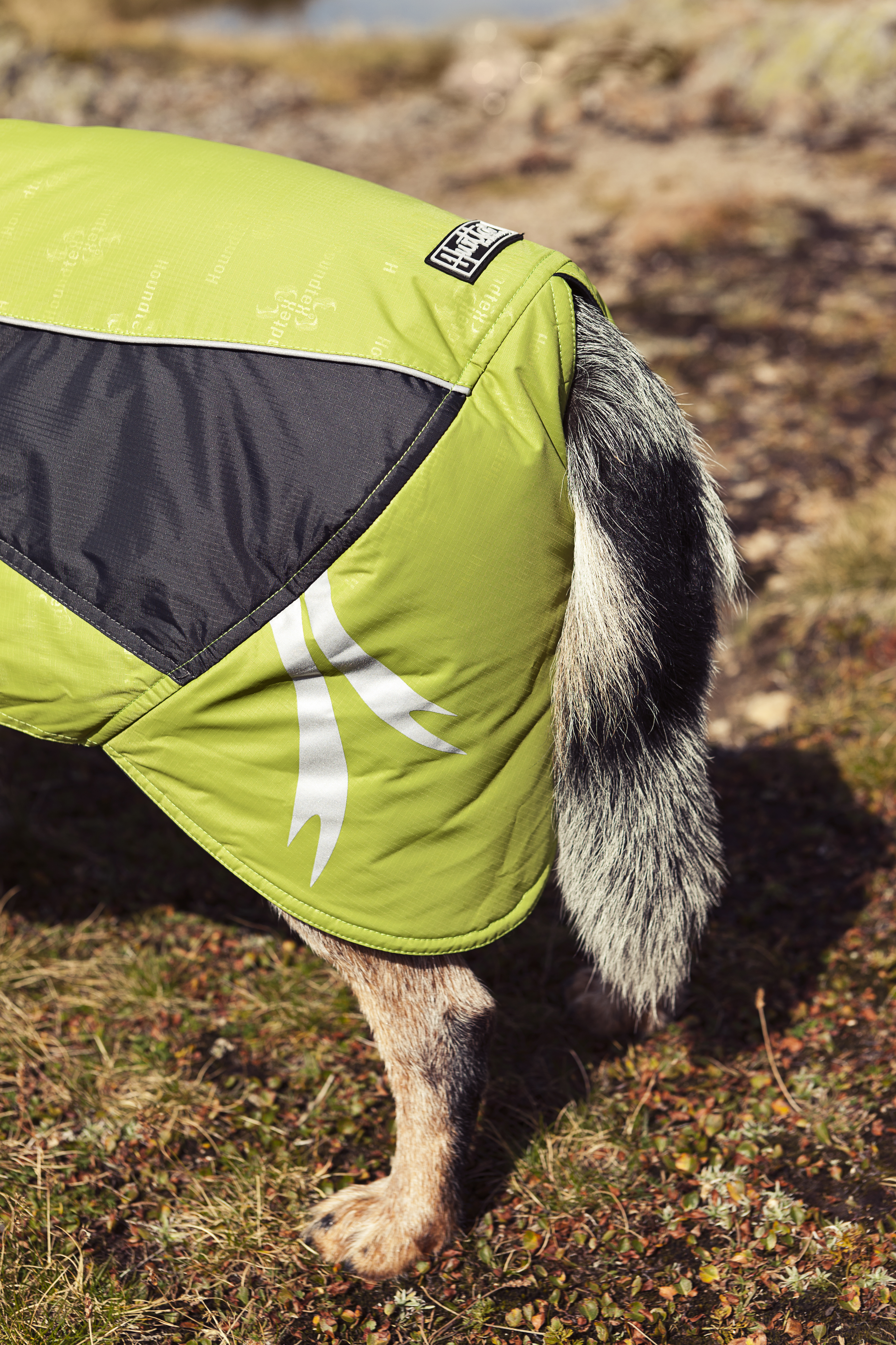 Комбинезон Для Собак Hurtta Купить