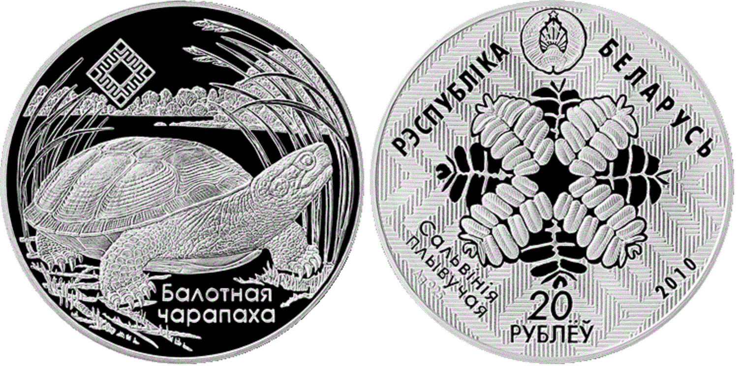 Belarus. 2010. 20 Rubles. Series: Reserves of Belarus. Middle Pripyat. Marsh turtle. 0.925 Silver. 1.0 Oz., ASW. 33.63 g. PROOF. Mintage: 3,000