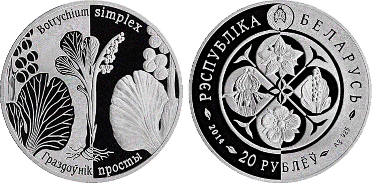 Belarus. 2014. 20 Rubles. Series: Revived Plants. The Bunch is simple. 0.925 Silver. 1.0 Oz., ASW. 33.63 g. PROOF. Mintage: 2,000