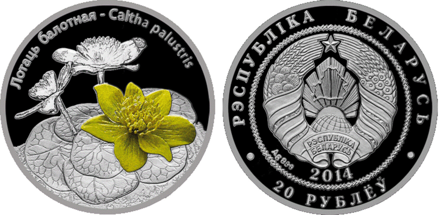 Belarus. 2014. 20 Rubles. Series: Flowers of Belarus. Caltha Palustris. 0.999 Silver. 0.643 Oz., ASW. 20.00 g. PROOF / Colored. Mintage: 2,500​