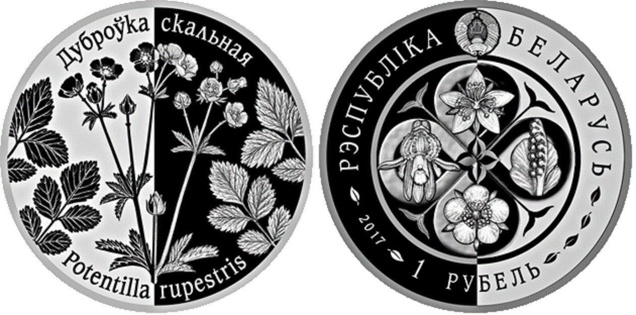 Belarus. 2017. 1 Ruble. Series: Revived Plants. The Lapchanka skalnaya (Rock lapel). Cu-Ni. 13.16g., Proof-like. Mintage: 2,000​