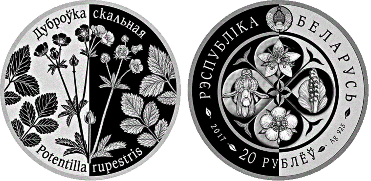 Belarus. 2017. 20 Rubles. Series: Revived Plants. Rock Lapel. 0.925 Silver. 1.0 Oz., ASW. 33.63 g. PROOF. Mintage: 750