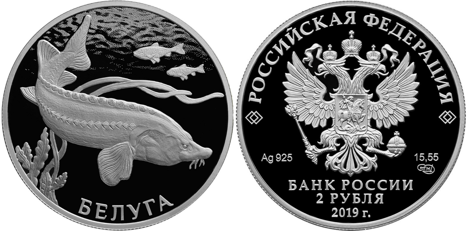 Russia. 2019. 2 Rubles. Series: Red Data Book. Beluga. 0.925 Silver 0.50 Oz, ASW., 17.0g. PROOF. Mintage: 5,000
