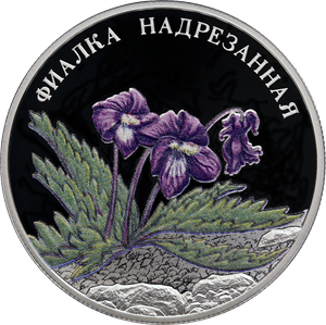 Russia. 2022. 2 Rubles. Series: Red Data Book. Viola incisa #21. Silver 925. 0.5 Oz ASW 17.0 g. PROOF/COLORED Mintage: 5,000