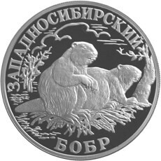 Russia. 2001. 1 ruble. Series: Red Data Book. #25. West Siberian Beaver. Silver 900. 17.44 g. 0.5 oz ASW PROOF. Mintage: 7,500