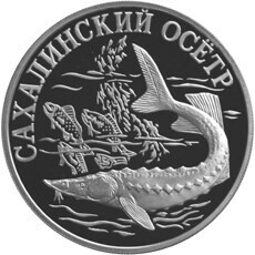 Russia. 2001. 1 ruble. Series: Red Data Book. #23. Sakhalin Sturgeon. Silver 900. 17.44 g. 0.5 oz ASW PROOF. Mintage: 7,500