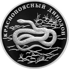 Russia. 2007. 1 ruble. Series: Red Data Book. #43. Red-banded snake. Silver 925. 17.0 g. 0.5 oz ASW PROOF. Mintage: 12,500