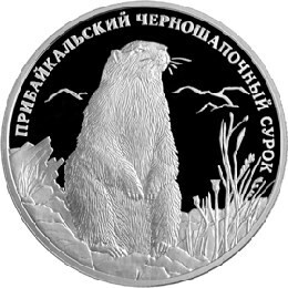 Russia. 2008. 2 Rubles. Series: Red Data Book #03. Black-Capped Marmot. Silver 925. 0.5 Oz ASW 17.0 g. PROOF Mintage: 12,500