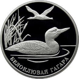 Russia. 2012. 2 Rubles. Series: Red Data Book #08. Yellow-billed Loon. Silver 925. 0.5 Oz ASW 17.0 g. PROOF Mintage: 5,000
