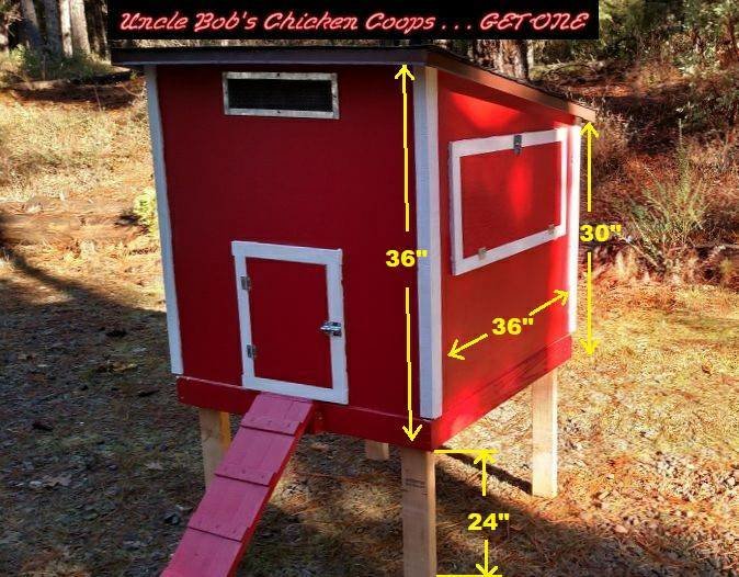 Base Model Chicken Painted Coop