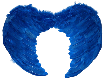 Blue Feather Fairy Wings !