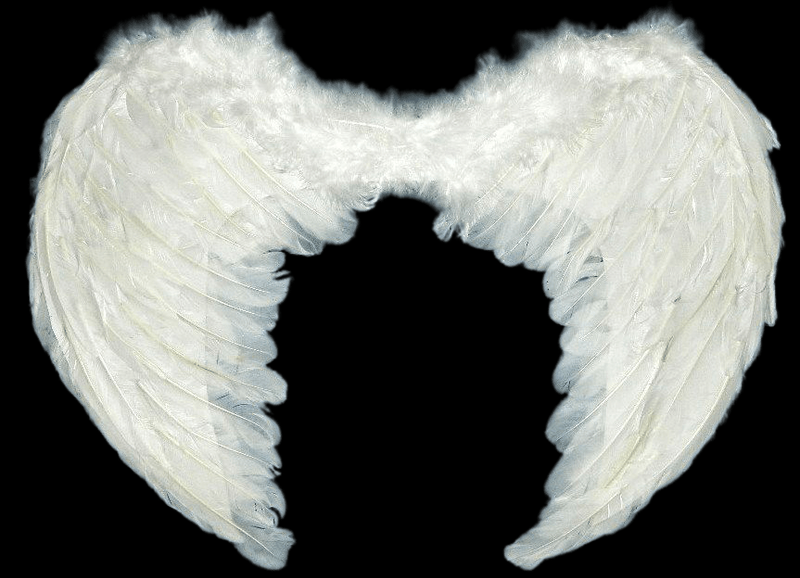 White Feather Wings
