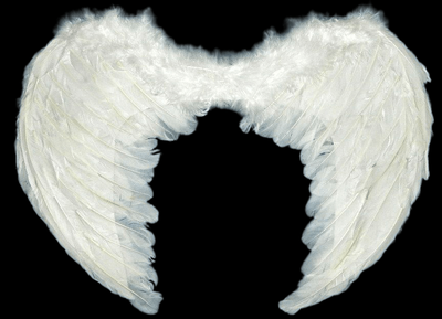 White Feather Wings
