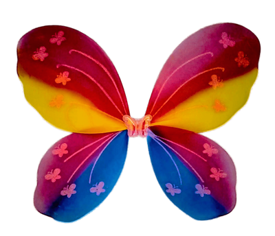 Rainbow Colour Fairy Wings