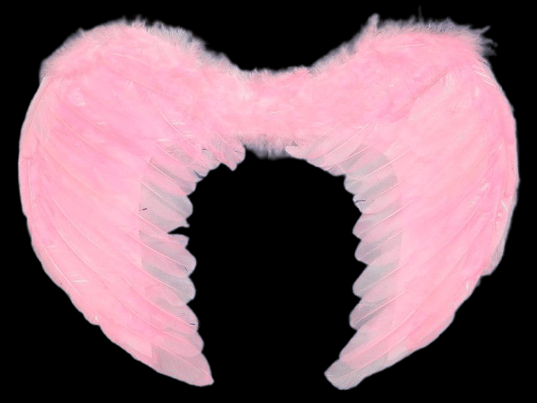 Pink Feather Wings
