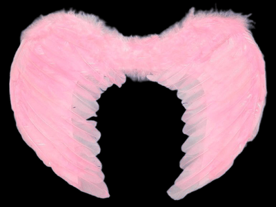 Pink Feather Wings