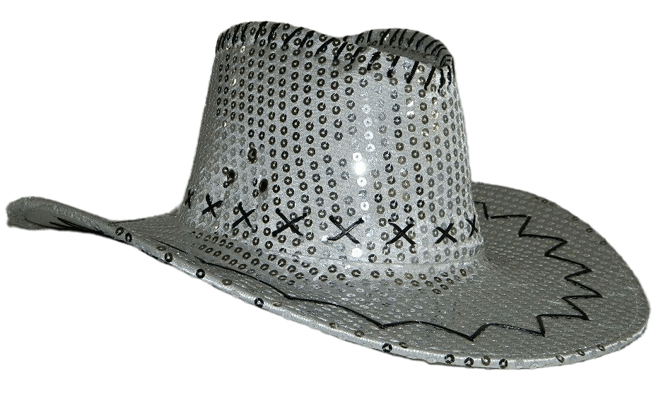 Sequin Cowboy Hat