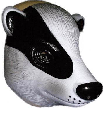 Skunk Mask