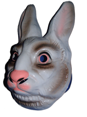The Rabbit Mask