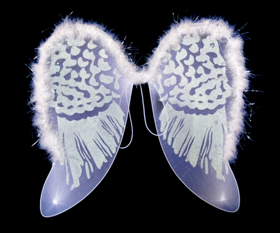 White Color Fairy Wings