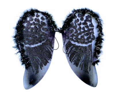 Black and Beautiful Fairy Wings