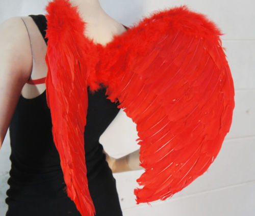 Red Feather Wings