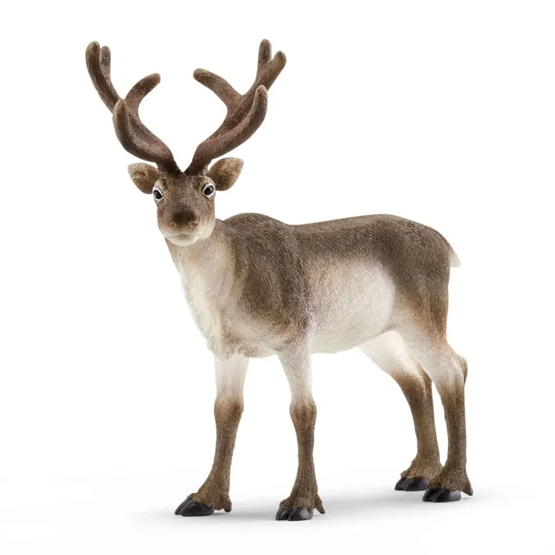 Schleich Wild Life Reindeer