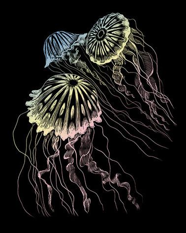 Engraving Art Holographic Jellyfish