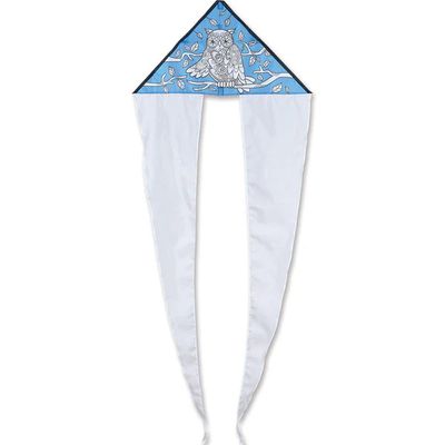 Premier Coloring Kite Owl