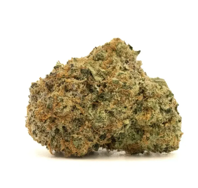 Blue Iced Cake | HYBRID