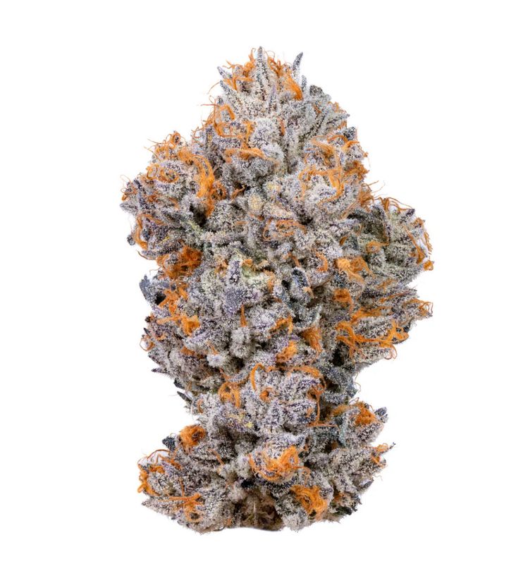 Cherry Zootiez | HYBRID