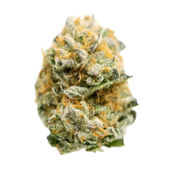 Vanilla Frosting | SATIVA