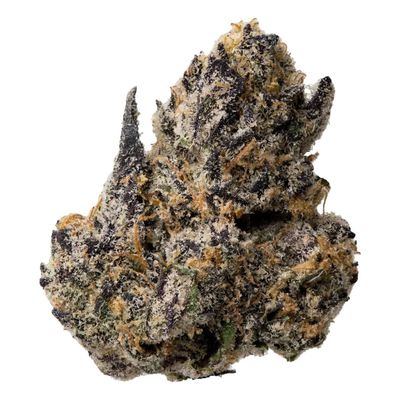 GUAVA ZOAPY | INDICA