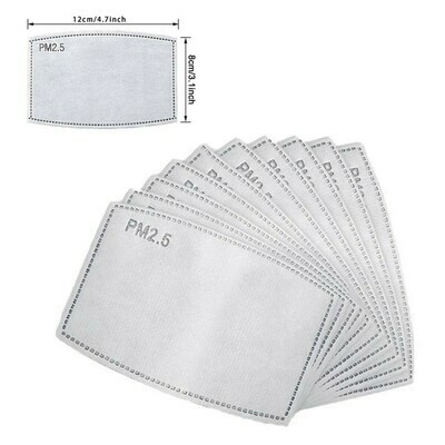 Mask Filter - 10 pack Adult Size