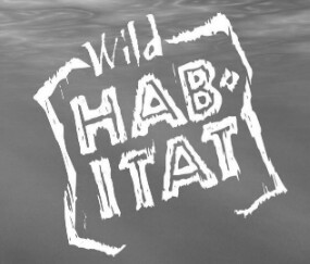 Wild Habitat - ALL ON SALE