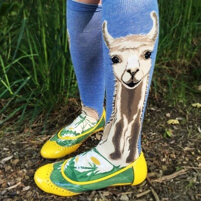 Llovely Llama Roll-Top knee high socks | M adult size | ModSocks