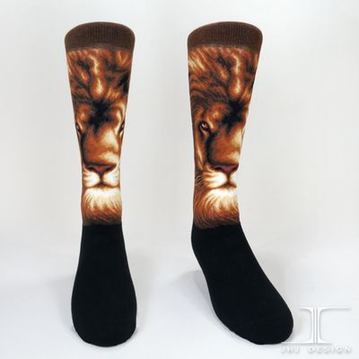 Wildlife - Lion